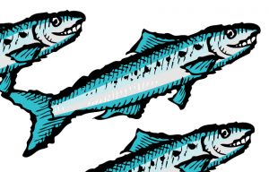 Zingerman's Illustration of three blue sardines