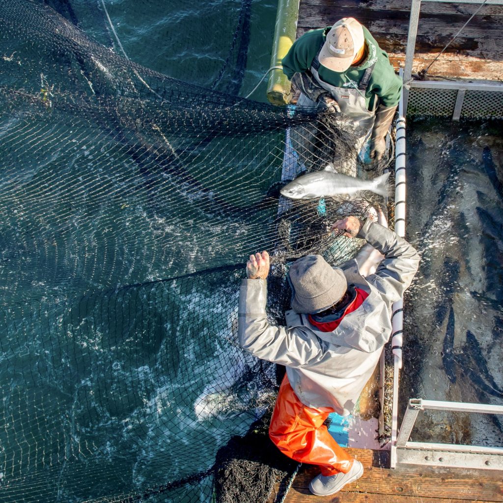 a photo of a fishing operation for Patagonia Provisions