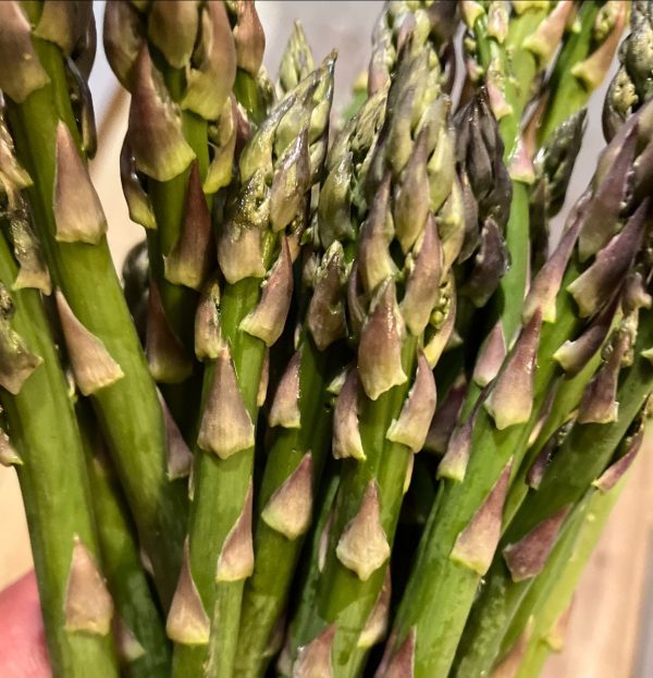OvenRoasting Asparagus Zingerman's Deli