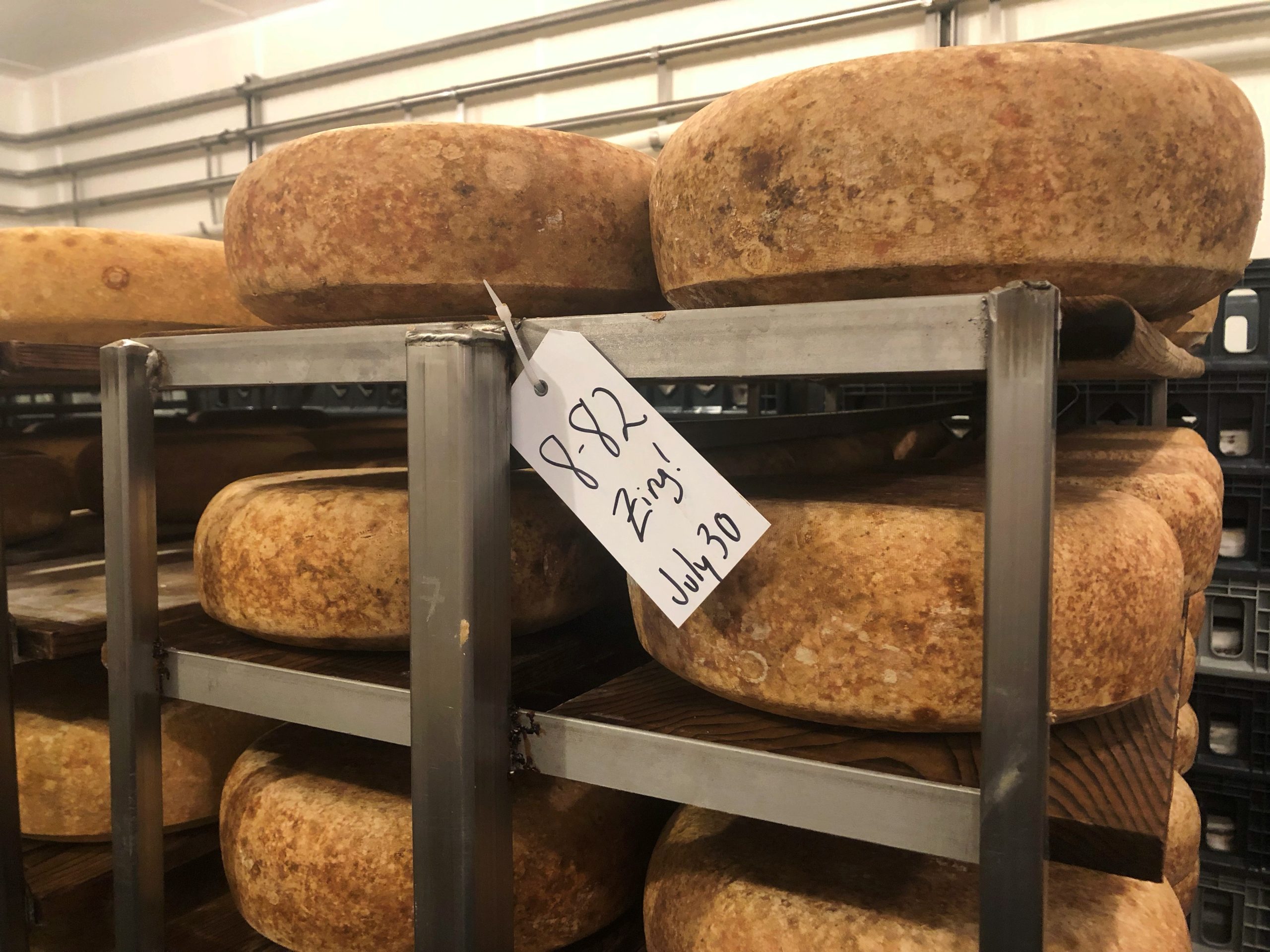 All About Pleasant Ridge Reserve Cheese Zingerman's Deli