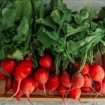 A top-down photo of about two dozen red radishes with their leafy tops still on, resting on a wooden tray.