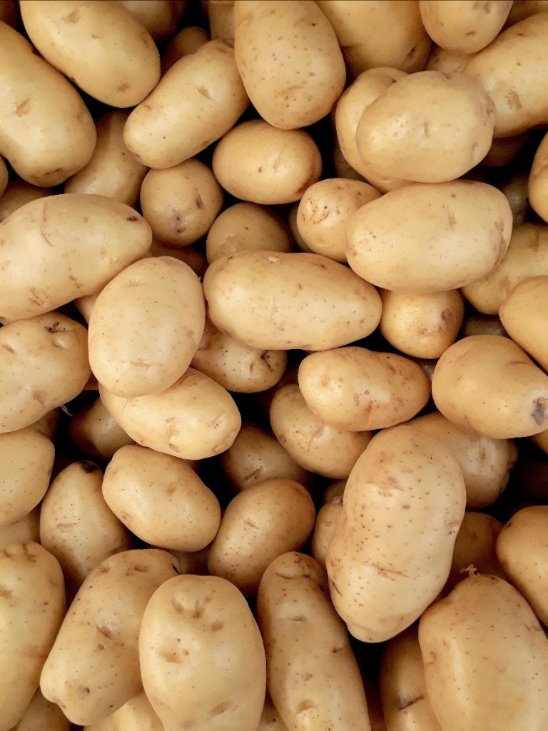 A photo of a pile of Russet Potatoes.
