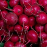 A photo of a pile of radishes.