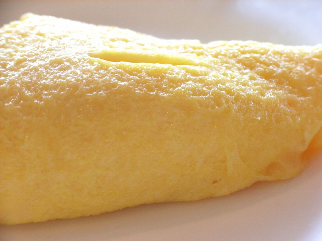A close-up photo of an omelet. 