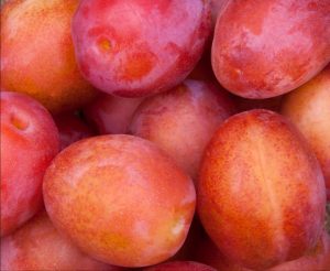 A photo of a pile of red-orange plums.