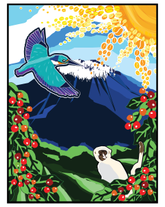 An illustration of a bird flying over a mountain and a monkey in the greenery below, with a border of coffee berries and a sunny sky.