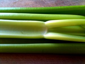 A photo of three stalks of celery.