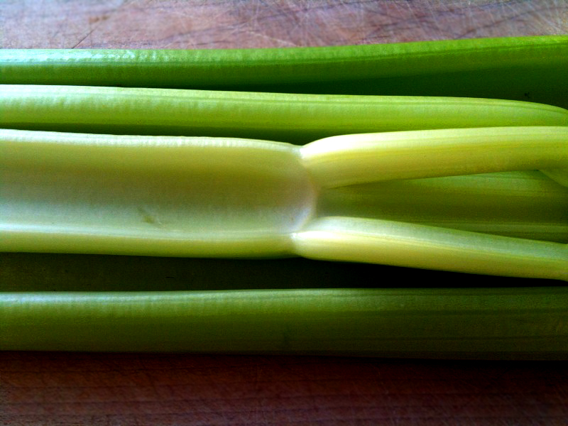 A photo of three stalks of celery.